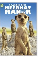 Watch Meerkat Manor Niter